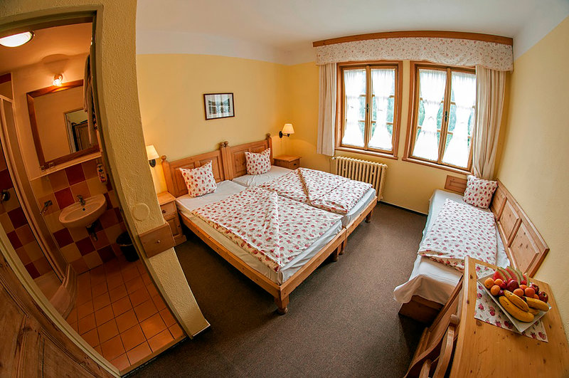 Urlaub im Alpsky Hotel 2024/2025 - hier günstig online buchen