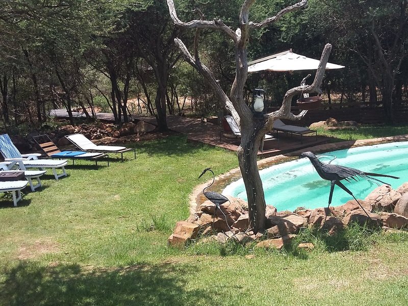 Urlaub im aha Madikwe River Lodge 2024/2025 - hier günstig online buchen