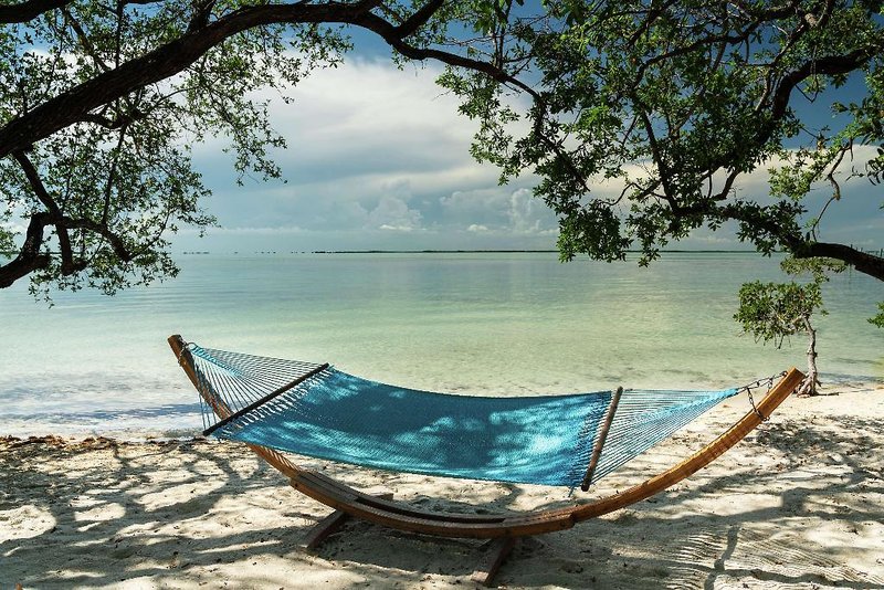 Urlaub im Baker s Cay Resort Key Largo, Curio Collection by Hilton 2024/2025 - hier günstig online buchen