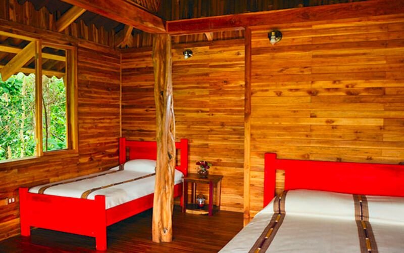 Urlaub im Macaw Lodge 2024/2025 - hier günstig online buchen