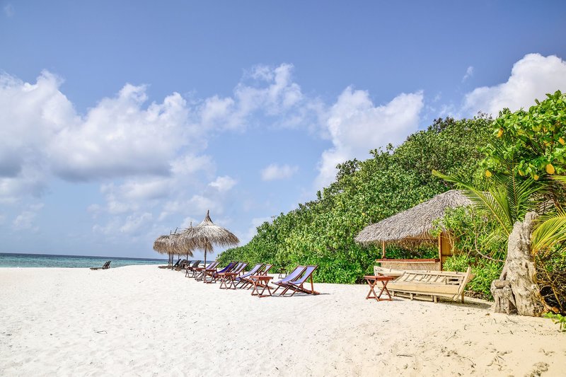Urlaub im Makunudu Island Resort 2024/2025 - hier günstig online buchen