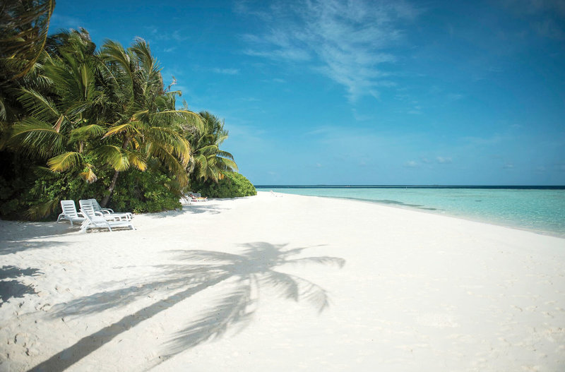 Urlaub im Biyadhoo Island Resort 2024/2025 - hier günstig online buchen