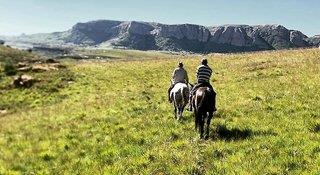 Urlaub im Wild Horses Lodge 2024/2025 - hier günstig online buchen