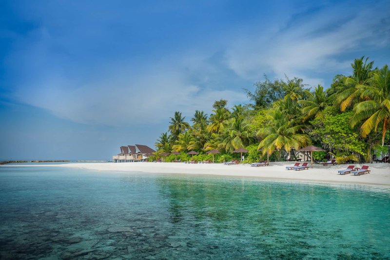 Urlaub im Ellaidhoo Maldives by Cinnamon 2024/2025 - hier günstig online buchen